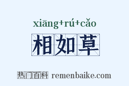 相如草是什么意思的图片